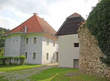 Trail On foot Hirschegg-Pack - Wanderweg 41 - Photo