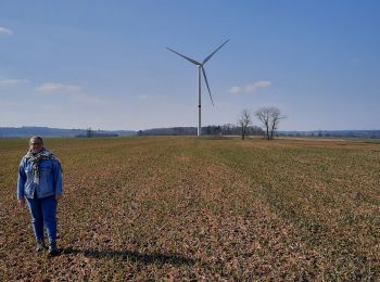 Randonnée Marche Ohey - OHEY-GESVES-FRANCESSE-OHEY - Photo