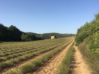 Percorso Marcia Gréoux-les-Bains - 2019 09 16 château Laval et marchand - Photo