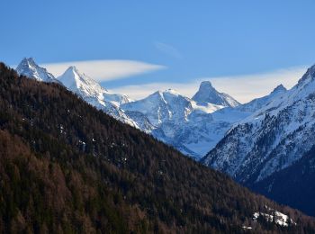 Randonnée A pied Anniviers - Chandolin-St Luc - Photo