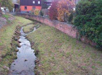 Randonnée A pied Weilbach - Rundwanderweg Weilbach 4: Gotthardsbergweg - Photo