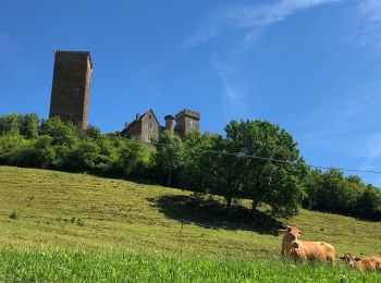 Excursión Senderismo Saint-Céré - Château ST Laurent - Photo