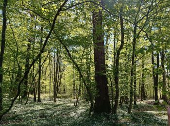 Tour Wandern Florennes - Morialmé - Photo