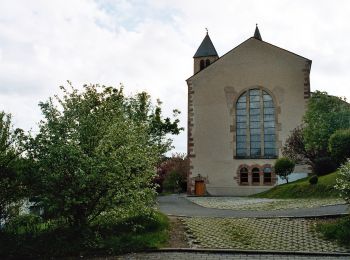 Tour Zu Fuß Namborn - Symposium - Photo