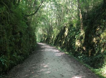 Trail Hybrid bike Castelnau-Durban - Castelnau - St Girons - Photo