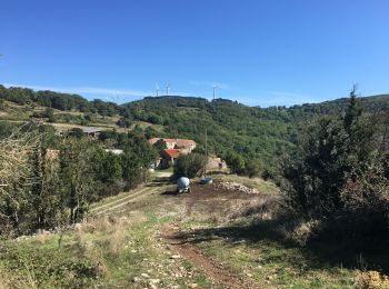 Excursión Senderismo Joncels - Joncels - Circuit des Buis par Lunas - Photo