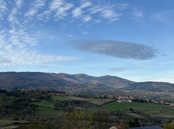 Tocht sport Brossainc - Brossainc lac du Ternay  - Photo