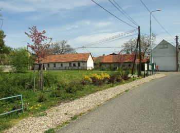 Excursión A pie Řevnice - [Ž] Červený kříž - Řevnice - Photo