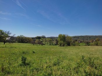 Trail Walking Peyrignac - boucle de la nuelle  - Photo