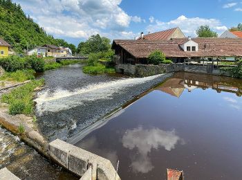 Excursión A pie Gemeinde Zwettl-Niederösterreich - Naturfreundeweg 3 Zwettl-Uttissenbach - Photo