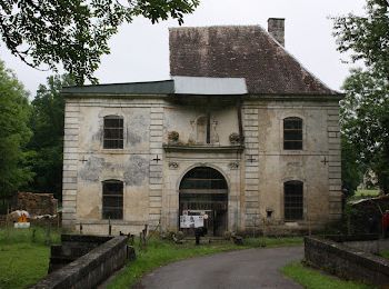 Randonnée V.T.T. Bourdons-sur-Rognon - Bourdons-sur-Rognon - Andelot - Ecot-la-Combe - Photo