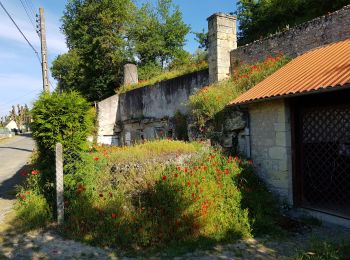 Percorso Marcia Parçay-Meslay - 2019.05.23-8.8km-Parçay Meslay le Sud - Photo