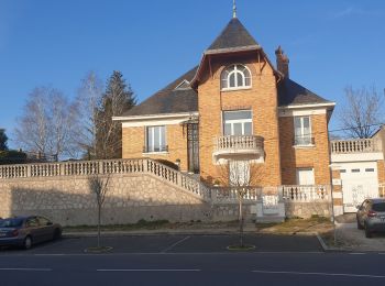 Tour Wandern Bonny-sur-Loire - Bonny sur Loire 45 le pré au Moine  - Photo