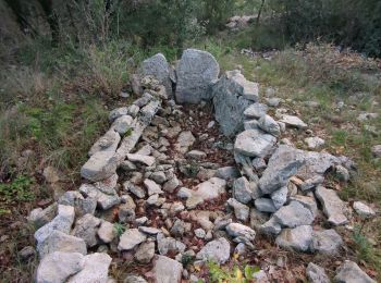 Tour Wandern Ferrières-les-Verreries - mas baume asphodele - Photo