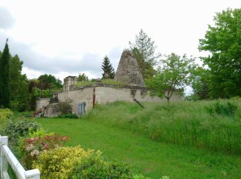 Randonnée Marche Chouzé-sur-Loire - Chouzé-sur-Loire - PRs Varennes-sur-Loire - 23.9km 130m 5h35 (40mn) - 2023 05 08 - Photo