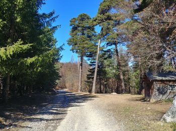 Tocht Stappen Chorges - 20190331_Clot Clavary - Photo