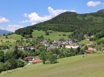 Percorso A piedi Gemeinde Prigglitz - Rote Wand Rundweg - Photo