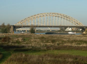 Tocht Te voet Nijmegen - Wandelroute Ooijpolder - Photo