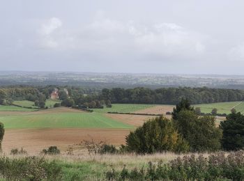 Randonnée Marche Beauvoir-en-Lyons - Beauvoir en Lyons - Photo