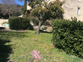 Randonnée Marche Quissac - Quissac-Chapelle de Pisé - Photo