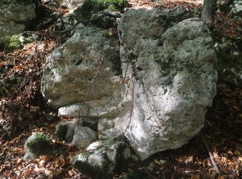 Excursión A pie Fernitz-Mellach - Josef Krainer Wanderweg - Photo