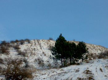 Trail On foot Neszmély - Piros négyzet (Neszmély - Dunaszentmiklós - Látó-hegyi szőlők, településhatár) - Photo