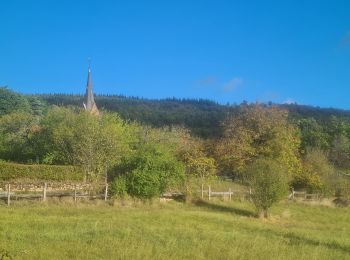 Randonnée Marche Eckartswiller - Saint-Michel & Daubenschlag - Photo