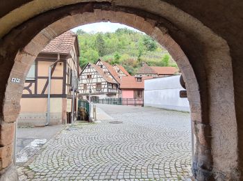 Tour Wandern Andlau - 2022-09 Boucle Andlau - Château du Haut-Andlai - Château de Spesbourg - Photo