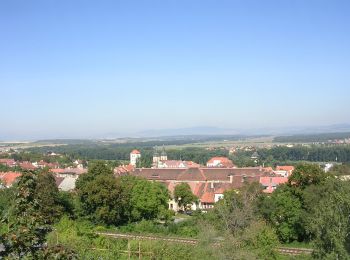 Percorso A piedi Roudnice nad Labem - [Č] Roudnické památky - Photo