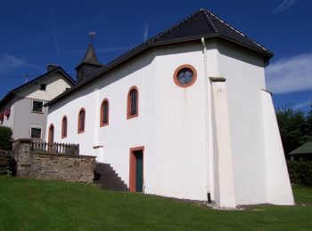 Trail On foot Hellenthal - Gebirgsstelzen- und Schwarzstorchpfad - Photo