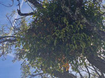 Randonnée Marche Saint-Symphorien-sous-Chomérac - St-Symphorien-sous-Chomerac 