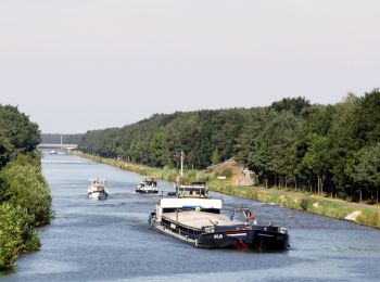 Percorso A piedi Lommel - Heuvelse Heide Groene rechthoek - Photo