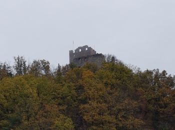 Trail Walking Waldkirch - Waldkirch - grande boucle des ruines du Schwanzenberg - Photo