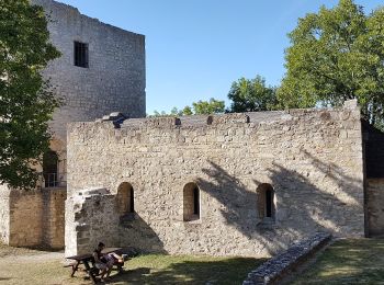 Randonnée A pied Hainburg an der Donau - Hainburg: Schiesstättenweg - Photo