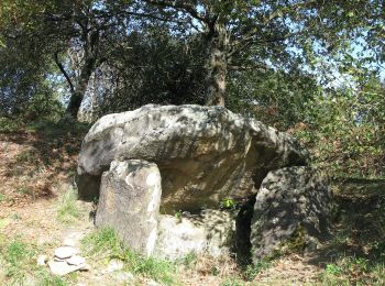 Excursión A pie Ossun - La Forêt d'Ossun - Photo