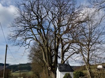 Excursión A pie Olsberg - Elpe Rundweg E1 - Photo