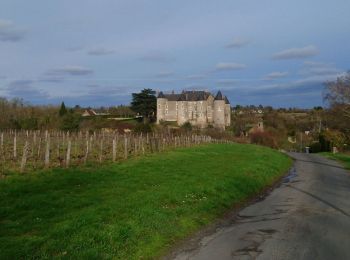 Tour Wandern Saint-Étienne-de-Chigny - Saint-Étienne-de-Chigny - le Vieux Bourg - Luynes - 15.8km 285m 3h30 - 2024 02 28 - Photo