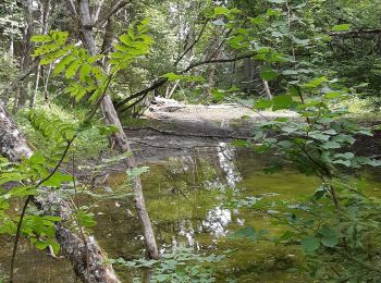 Tocht Stappen Villarembert - 20190813 Boucle de Villarembert - Photo