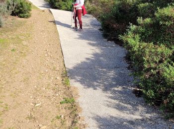 Tour Wandern Le Lavandou - vlt1016 - La Faveirolle, par l'ancien golf de Cavalière - Photo