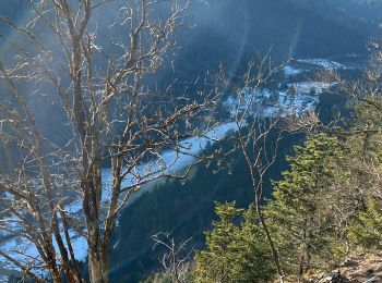 Tour Wandern Xonrupt-Longemer - Riche de Belle-vue - Photo