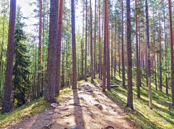 Trail On foot  - Harjunkierros - Photo