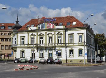 Excursión A pie okres Trenčín - IVV3 - STANOV CHODNÍK (krátka rodinná trasa) - Photo