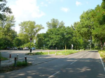 Tocht Te voet Onbekend - Havelhöhenweg - Photo