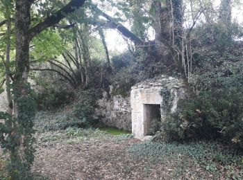 Randonnée Marche Touffailles - touffailles  - Photo