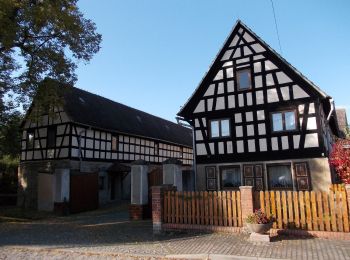 Tocht Te voet Wetterzeube - Rundweg Breitenbacher Forst - Photo