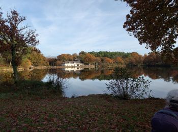 Trail Walking Vay - la voie romaine etang de la roche - Photo