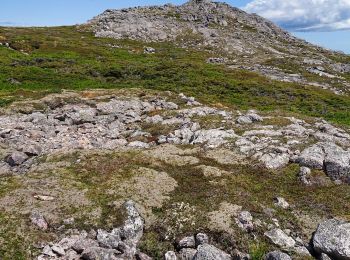 Tour Wandern Saint-Pierre - trepieds - Photo