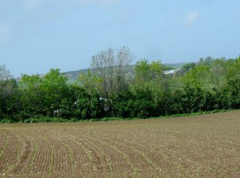 Percorso A piedi Bazinghen - Sentier Les Voyettes - Photo