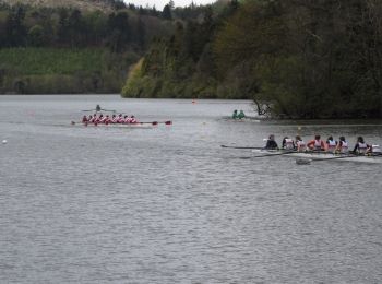 Percorso A piedi Sconosciuto - Castlewellan Forest Park - Slievenaslat Walk - Photo