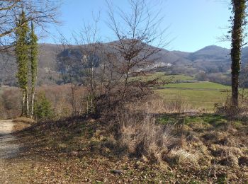 Trail Walking Nans-sous-Sainte-Anne - Nans sous st Anne 